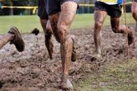 SDE : A FOND LE CROSS !